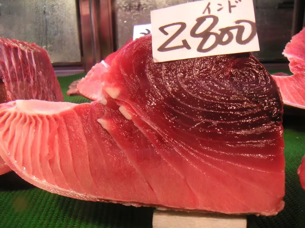 what is tuna steak